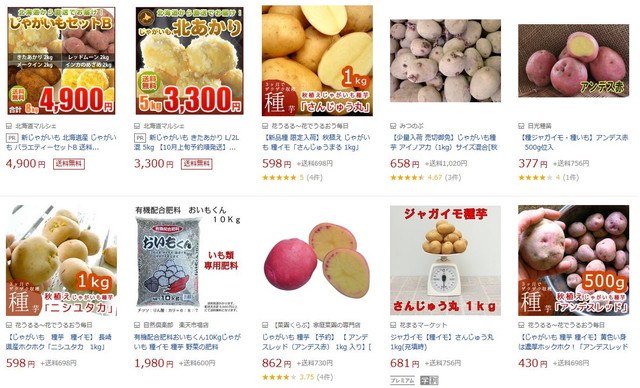 秋植えじゃがいもの種芋 品種：ニシユタカ 20kg(充填時) - 10