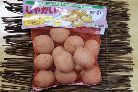 ジャガイモ タネイモ販売 ジャガイモ栽培 Com