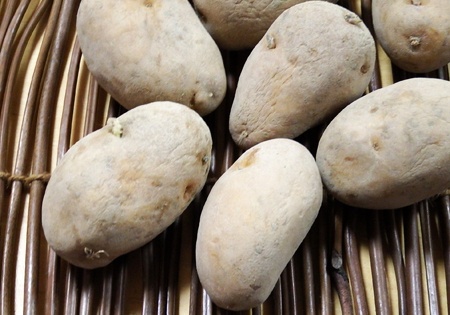 ジャガイモ 種芋の作り方と保存 ジャガイモ栽培 Com