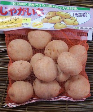 ジャガイモの種芋 切らない ジャガイモ栽培 Com
